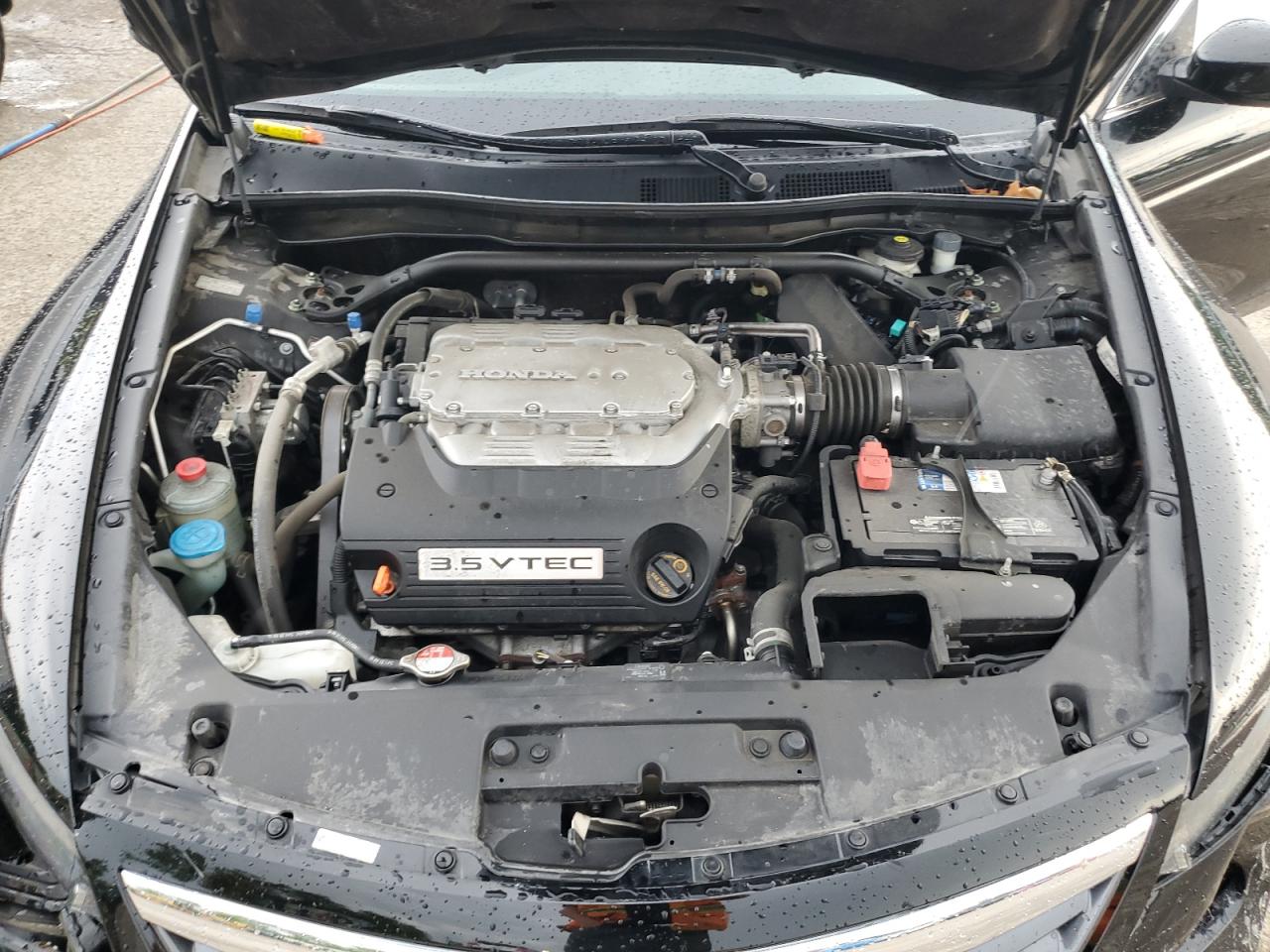 2012 Honda Accord Exl VIN: 1HGCS2A85CA011325 Lot: 61468605