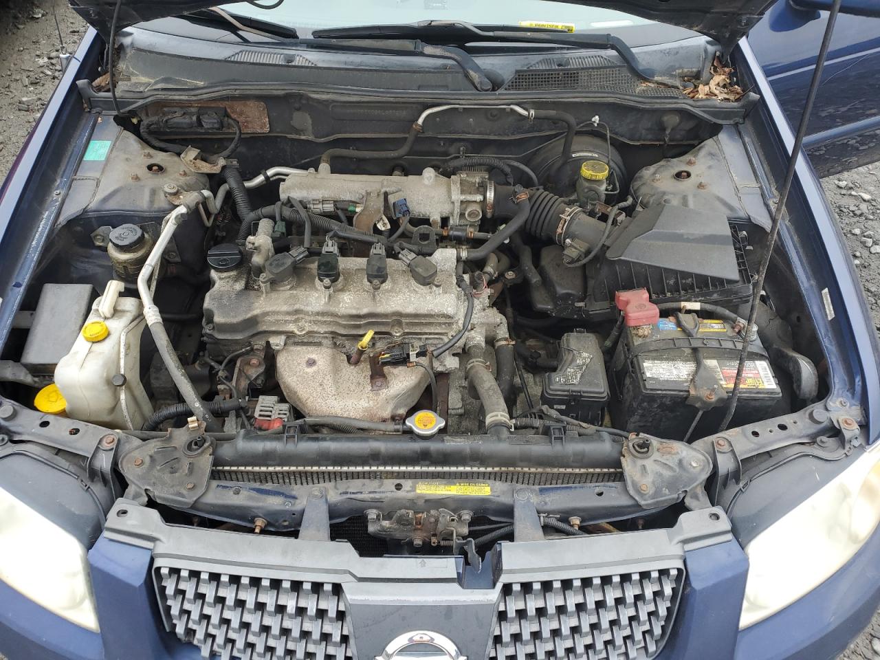 2005 Nissan Sentra 1.8 VIN: 3N1CB51D85L503262 Lot: 60784065