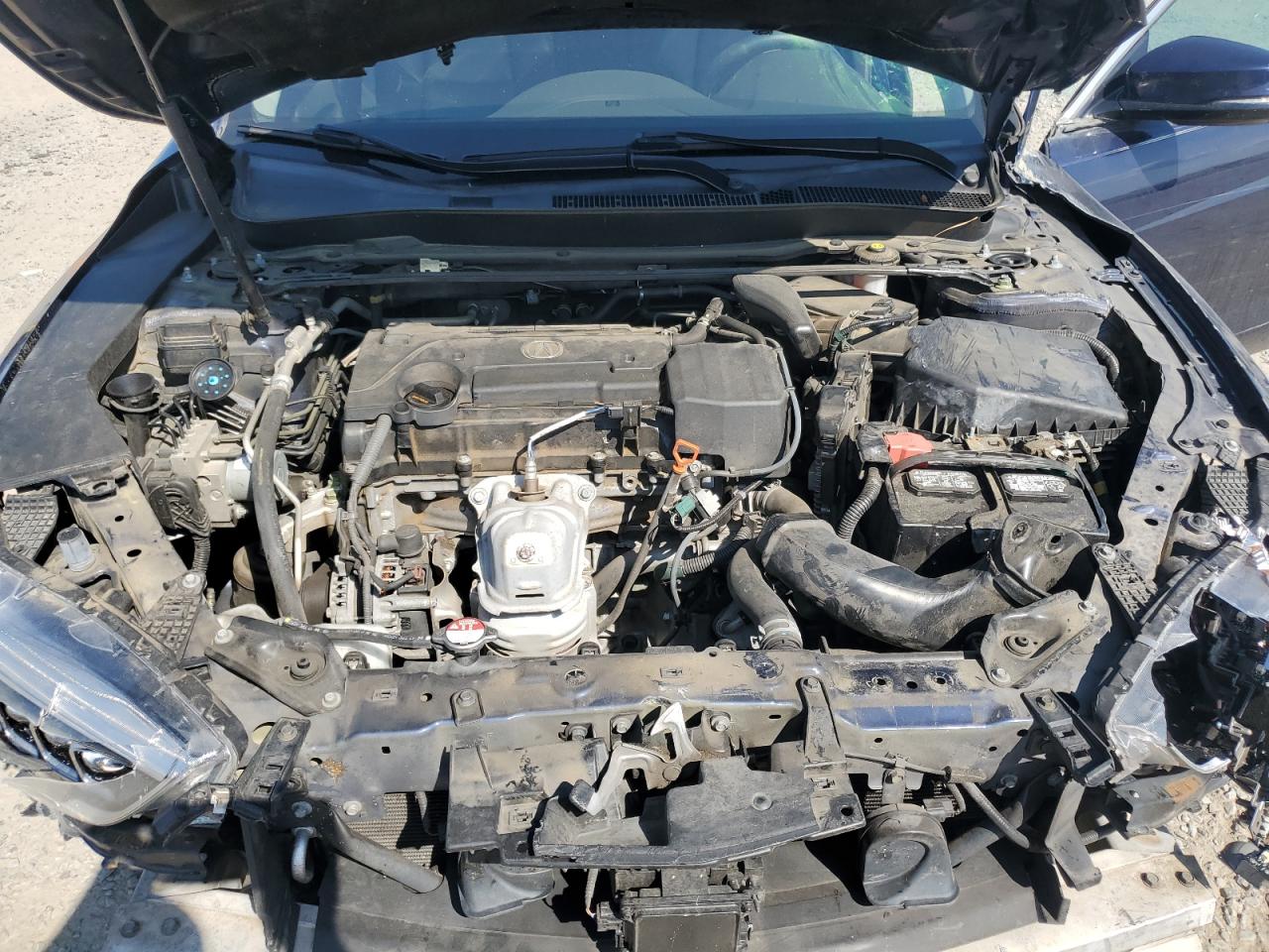 2019 Acura Tlx VIN: 19UUB1F32KA004942 Lot: 61718355