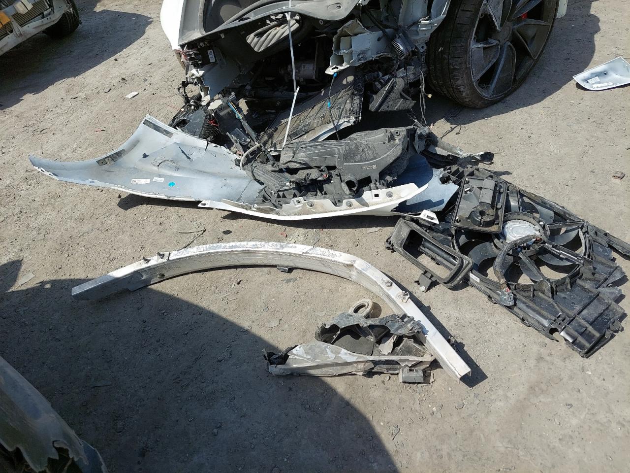 LRW3E7ET7RC167524 - 2024 Tesl MODEL 3 - #59241725