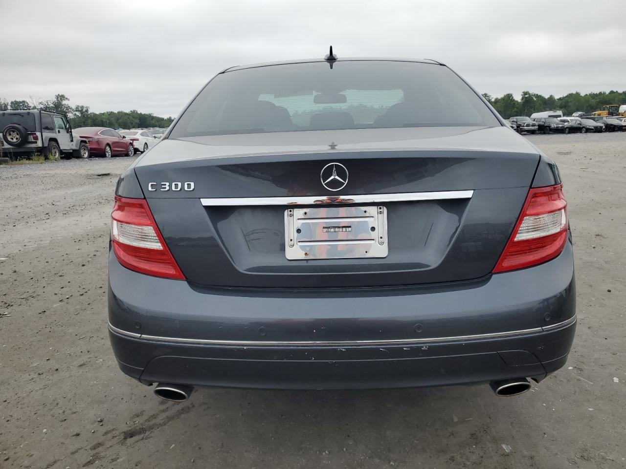 2010 Mercedes-Benz C 300 VIN: WDDGF5EB0AF462759 Lot: 62908485