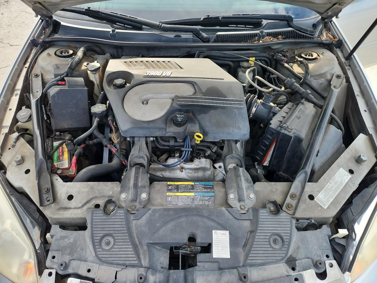 CHEVROLET IMPALA 2006 VIN 2G1WC581169106332 zdjęcie 11