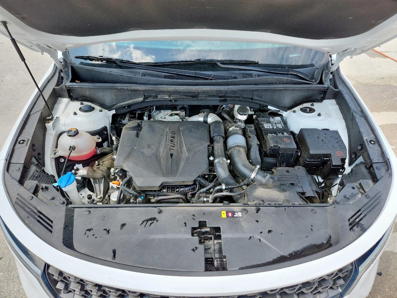 2023 Kia Sorento Sx VIN: 5XYRKDLF5PG195803 Lot: 59473785