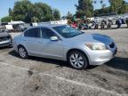 2008 Honda Accord Exl за продажба в Van Nuys, CA - Minor Dent/Scratches
