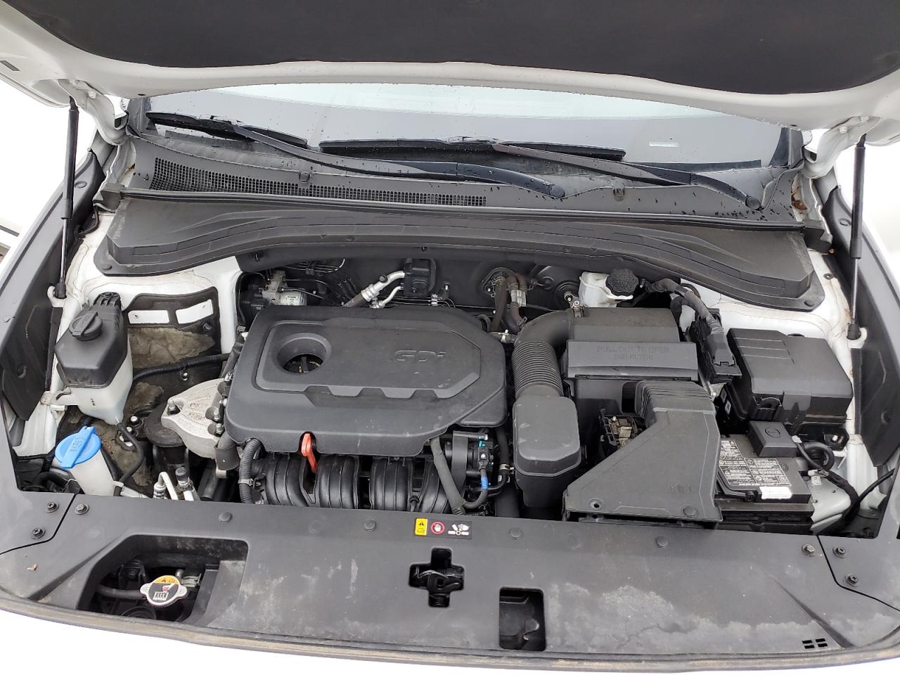 2020 Hyundai Santa Fe Sel VIN: 5NMS3CAD2LH188009 Lot: 62842885