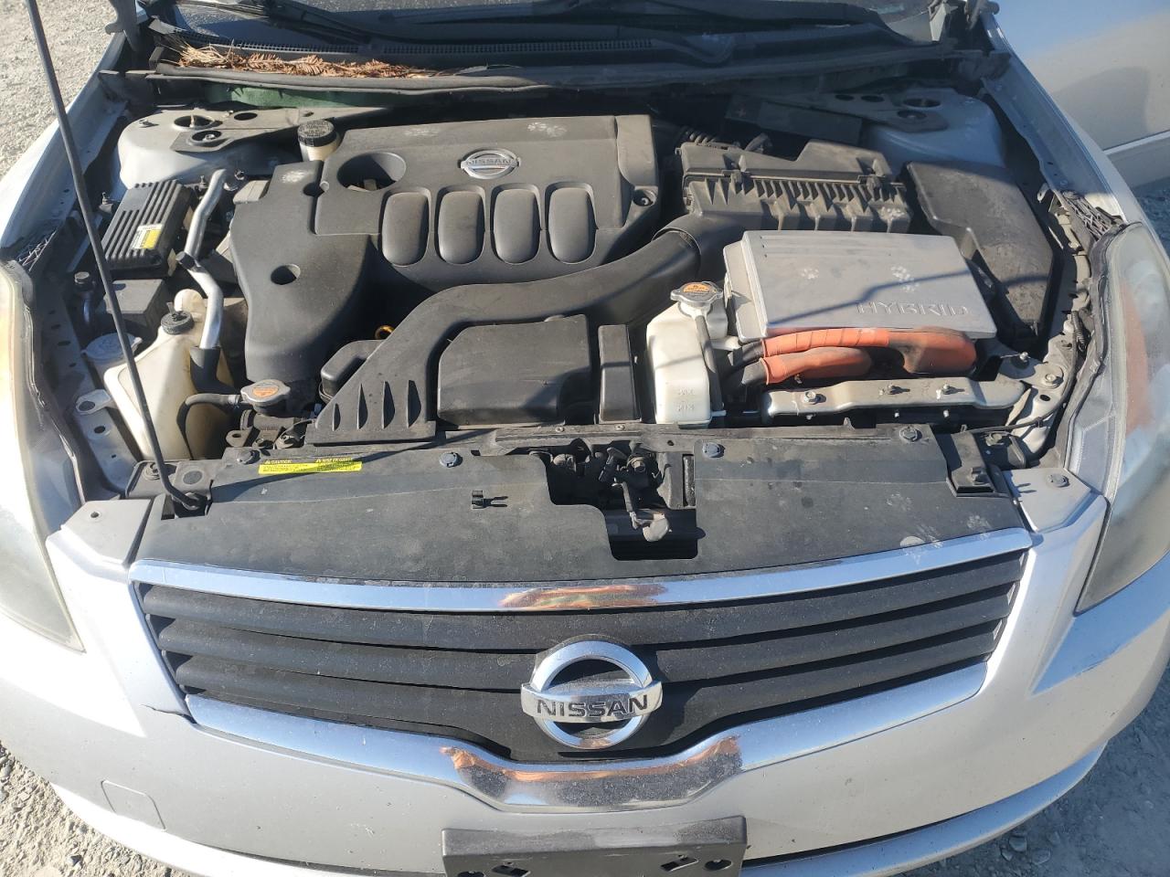 2008 Nissan Altima Hybrid VIN: 1N4CL21E88C262701 Lot: 62898005