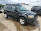 2005 Ford Escape Xlt продається в Louisville, KY - Hail