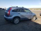 2007 Honda Cr-V Exl იყიდება Albuquerque-ში, NM - Mechanical