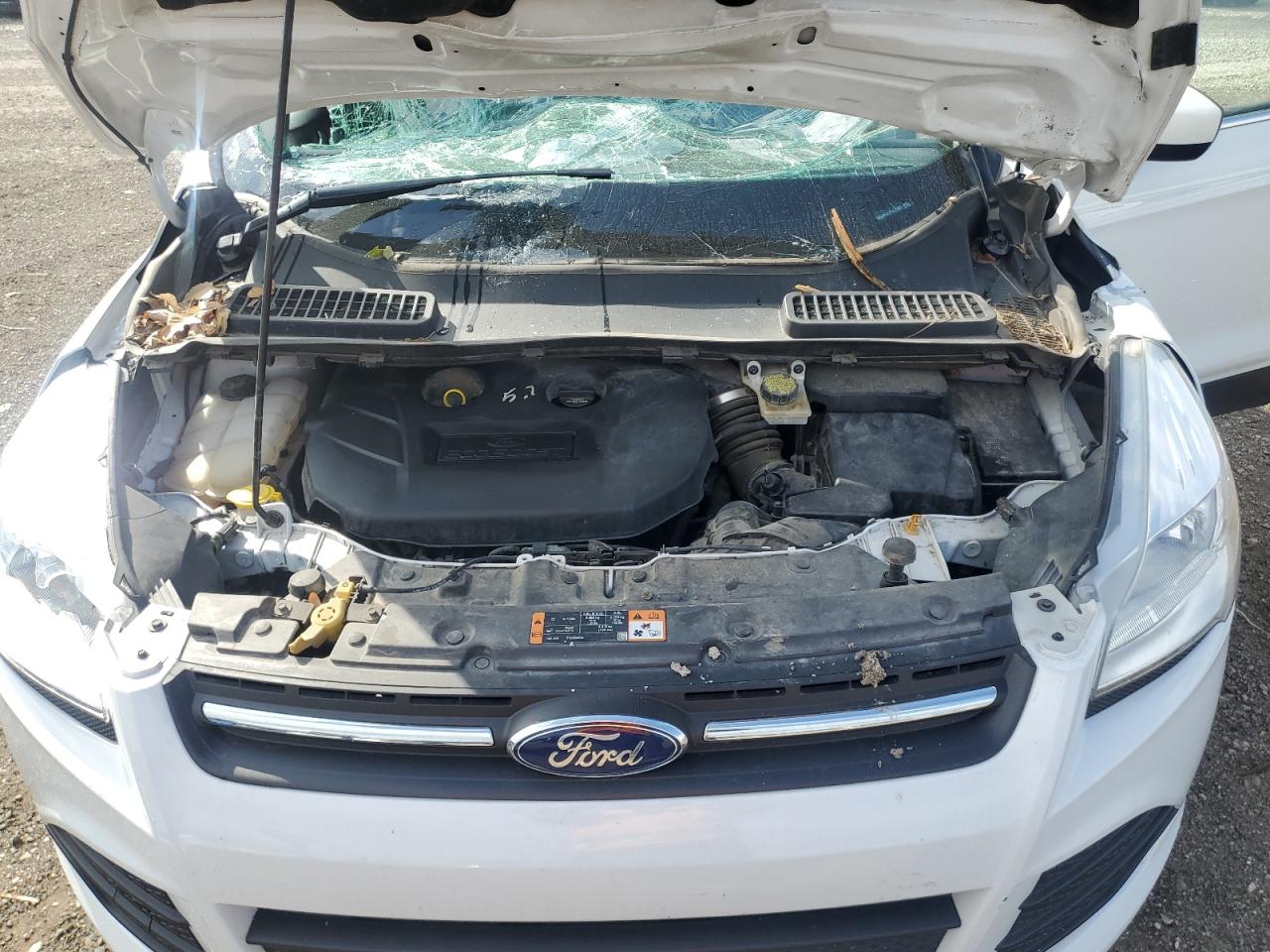 2015 Ford Escape Se VIN: 1FMCU9G91FUC33487 Lot: 62749535