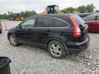 Barberton, OH에서 판매 중인 2010 Honda Cr-V Exl - Front End