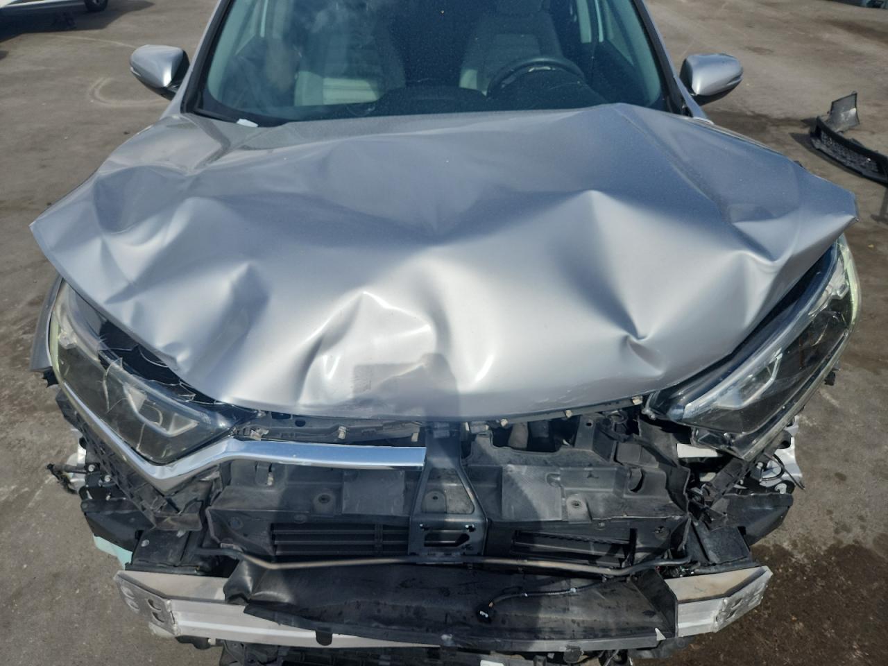 2019 Honda Cr-V Ex VIN: 2HKRW1H59KH506900 Lot: 62832055