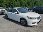 2013 Honda Accord Lx for Sale in Marlboro, NY - Rear End