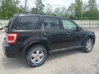 2010 Ford Escape Xlt   de vânzare în Leroy, NY - Normal Wear