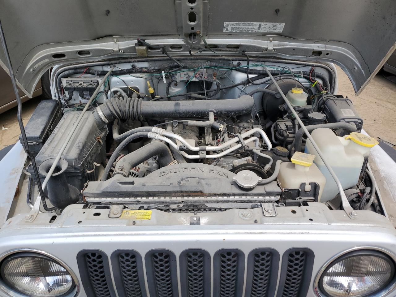 2002 Jeep Wrangler / Tj X VIN: 1J4FA39S52P770423 Lot: 62498885