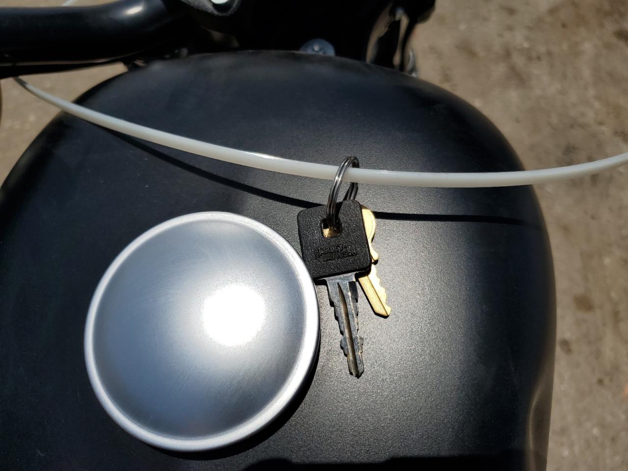 2021 Harley-Davidson Xl883 N VIN: 1HD4LE210MB405974 Lot: 60164015