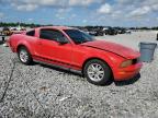 2006 Ford Mustang  for Sale in Arcadia, FL - Front End