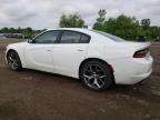 2015 Dodge Charger Sxt   for Sale in Columbia Station, OH - Front End