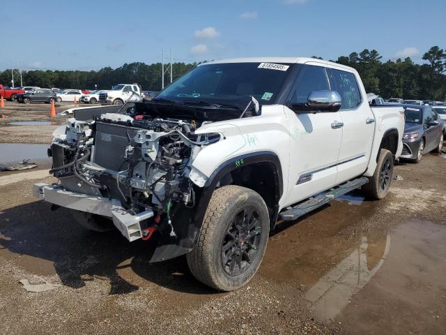 TOYOTA TUNDRA – zdjęcie z aukcji, lot #61854505
