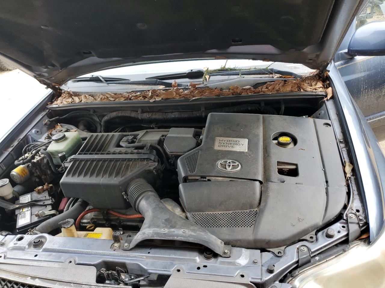 2006 Toyota Highlander Hybrid VIN: JTEDW21A560015259 Lot: 62756265