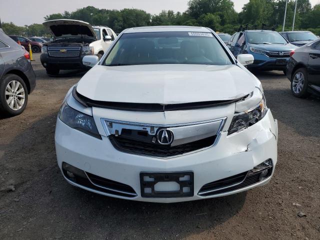 Sedans ACURA TL 2013 White