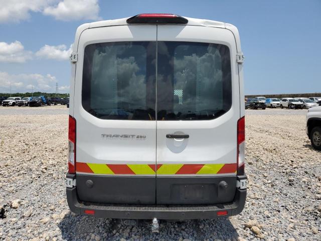  FORD TRANSIT 2019 Biały