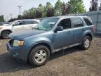 2012 Ford Escape Xlt   للبيع في New Britain، CT - Front End