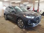 Ham Lake, MN에서 판매 중인 2024 Ford Escape Platinum - Rear End