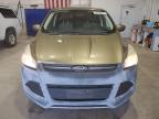 2014 Ford Escape Se for Sale in Billings, MT - Front End