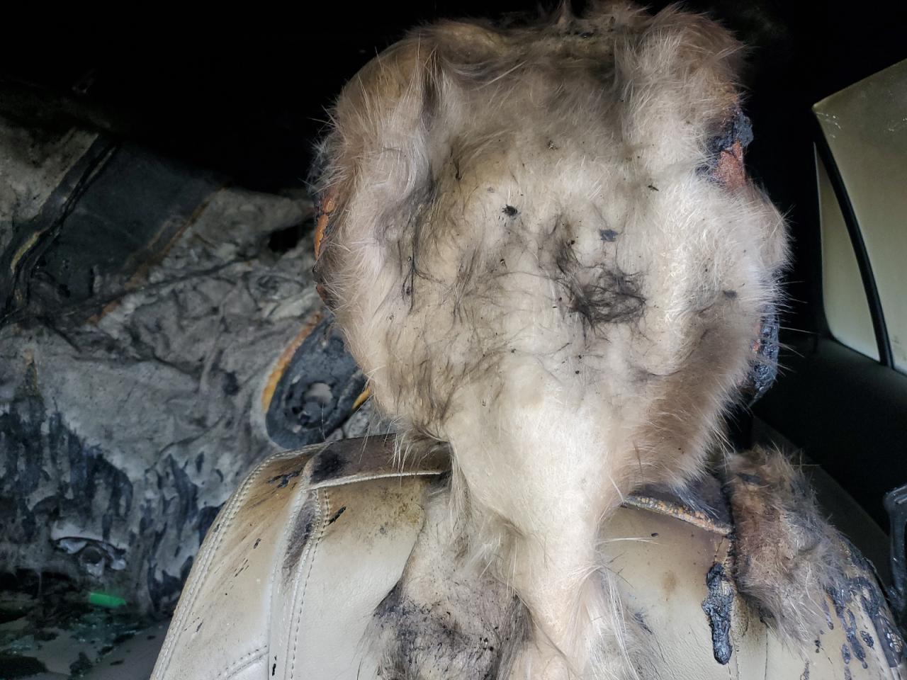 2013 Ford Explorer Xlt VIN: 1FM5K7D85DGB37520 Lot: 62282955