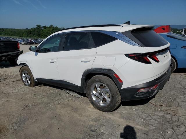  HYUNDAI TUCSON 2024 Biały