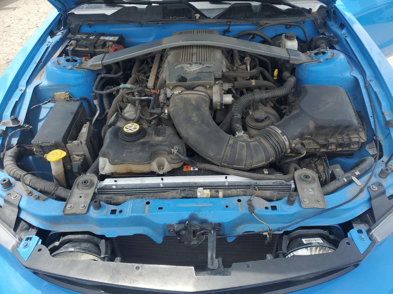FORD MUSTANG 2010 VIN 1ZVBP8CH1A5135865 фото 11