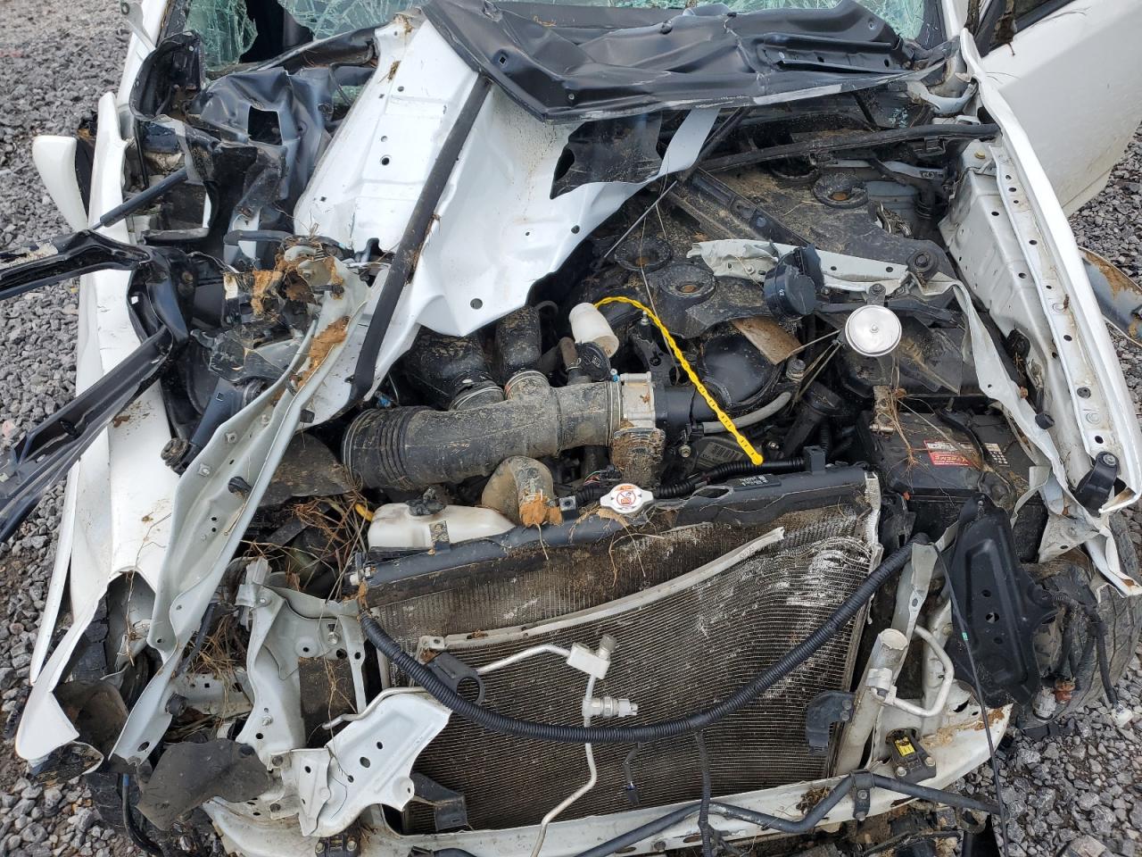 TOYOTA 4RUNNER 2019 VIN JTEBU5JR8K5636562 photo 12