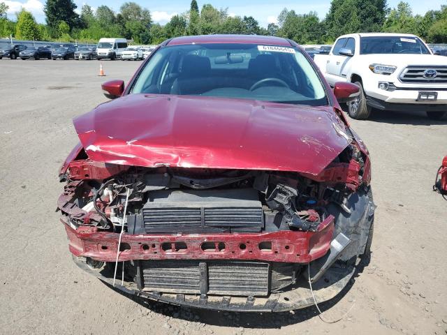 Sedans FORD FOCUS 2016 Red