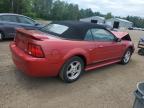 2002 FORD MUSTANG    for sale at Copart ON - COOKSTOWN
