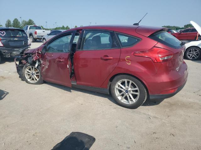  FORD FOCUS 2016 Червоний