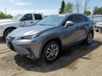 2018 LEXUS NX 300 BASE   for sale at Copart ON - TORONTO