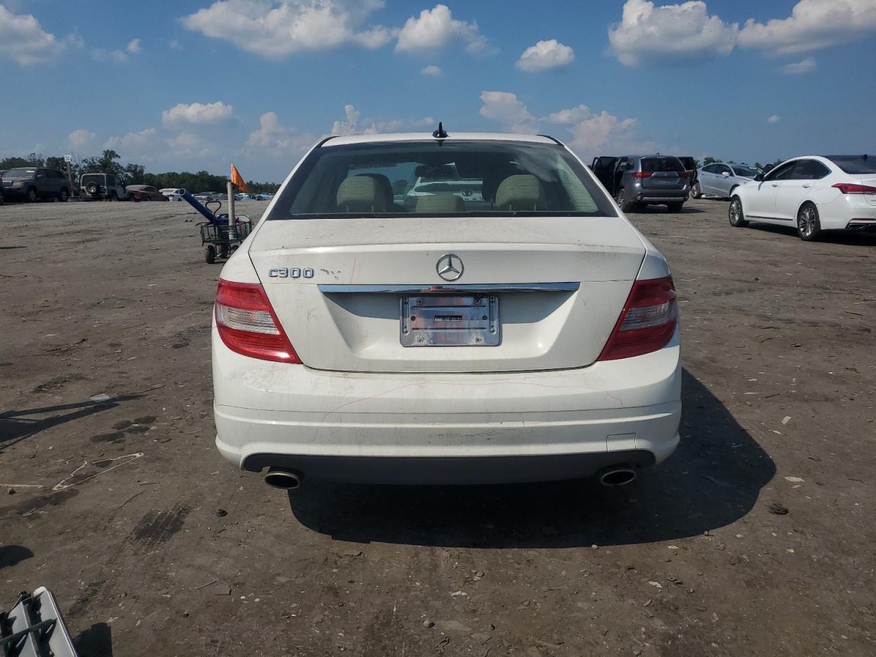 2010 Mercedes-Benz C 300 VIN: WDDGF5EBXAF422592 Lot: 62120285