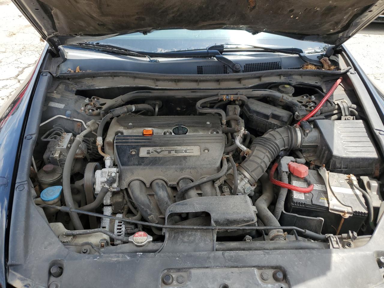 2009 Honda Accord Exl VIN: 1HGCS128X9A025626 Lot: 62898745