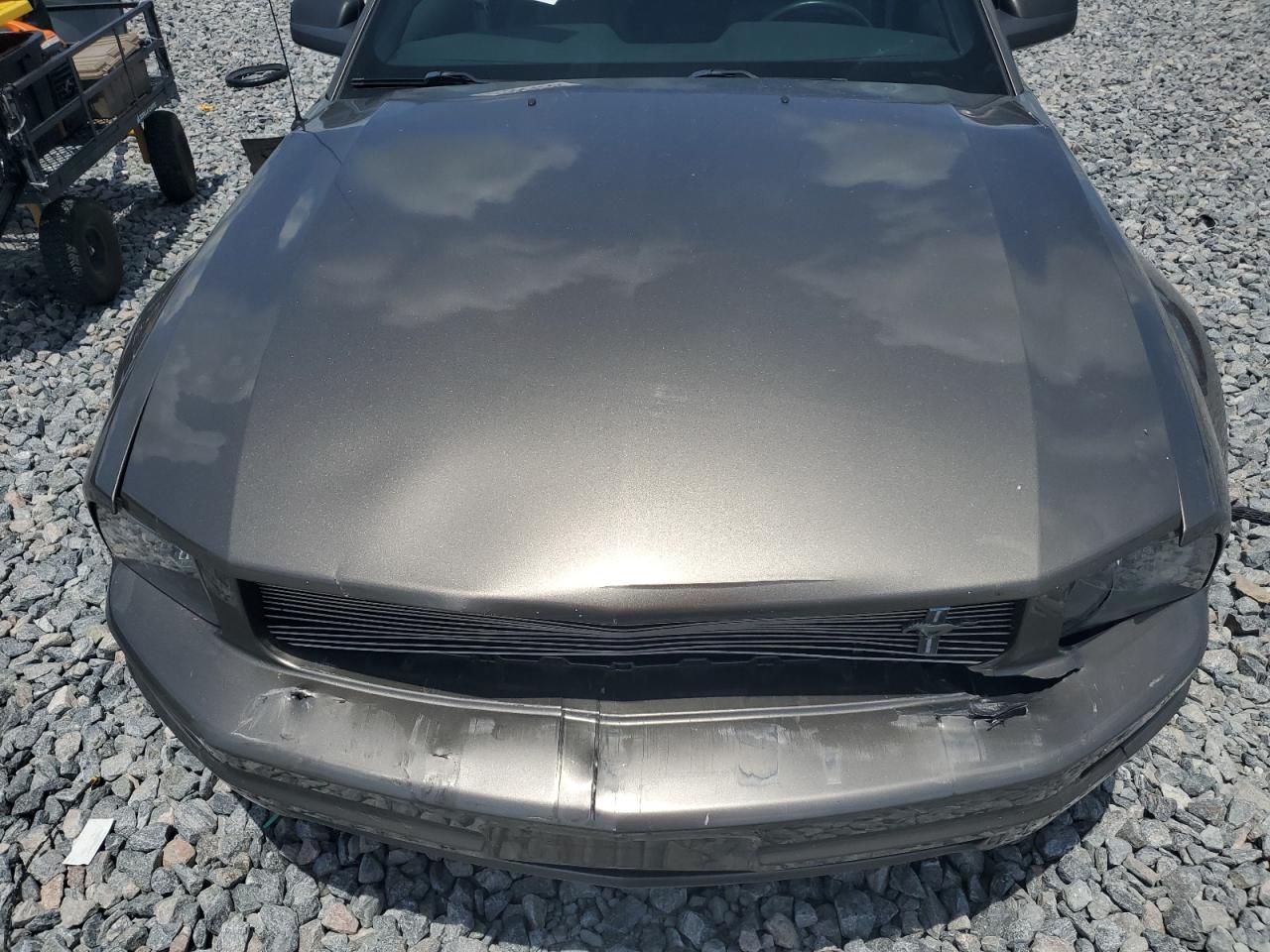 2005 Ford Mustang VIN: 1ZVFT84N555215001 Lot: 61993435