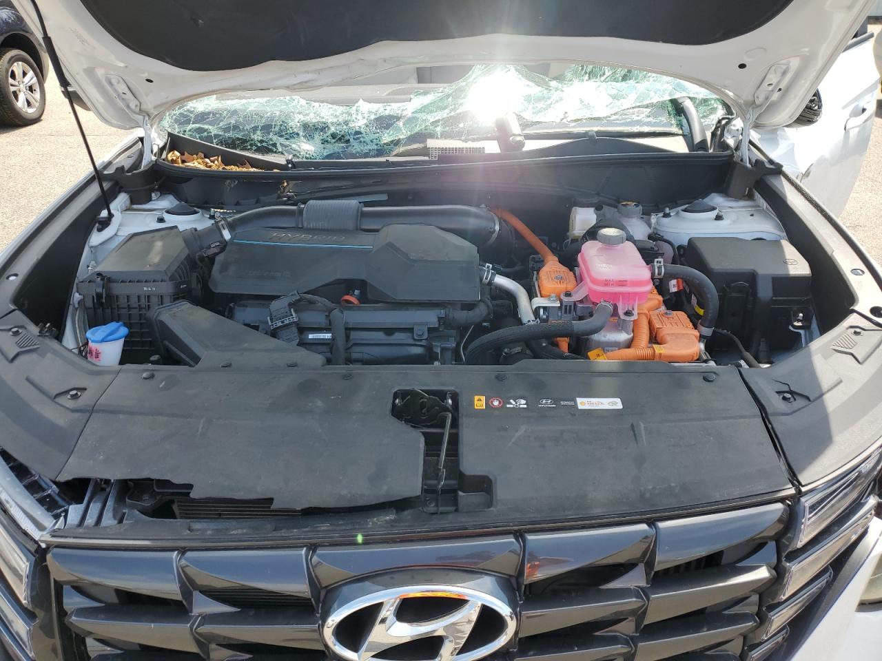 2024 Hyundai Tucson Sel Convenience VIN: KM8JCCD16RU220051 Lot: 61677395
