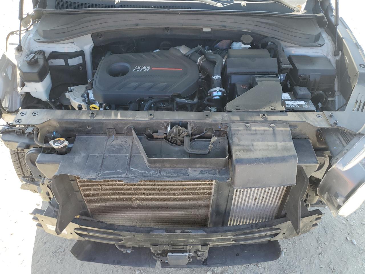 2020 Hyundai Santa Fe Limited VIN: 5NMS53AA8LH221319 Lot: 62489595