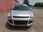 2014 Ford Escape Se   for Sale in London, ON - Normal Wear