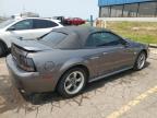 2004 Ford Mustang Gt for Sale in Woodhaven, MI - Rear End