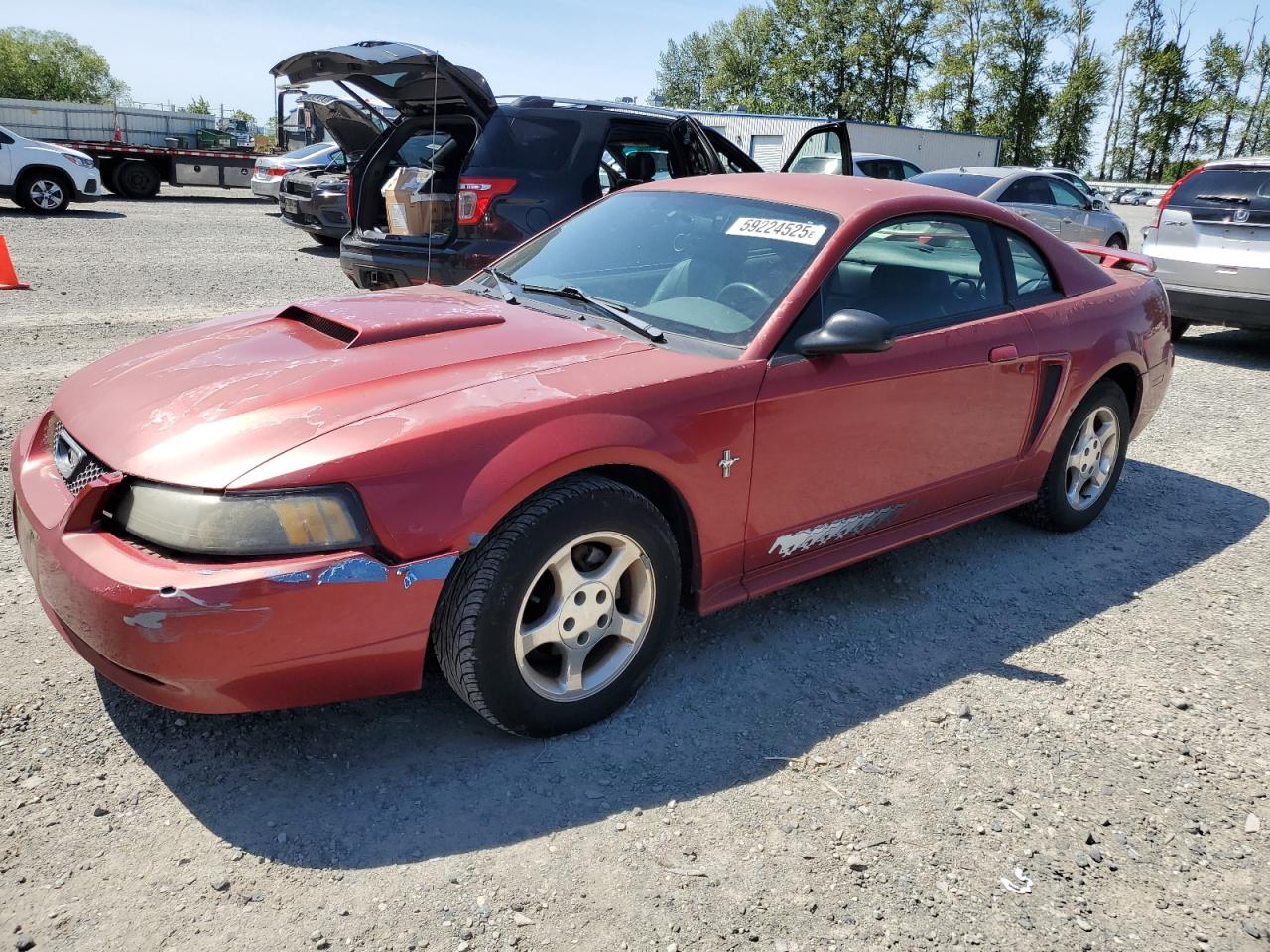 2003 Ford Mustang zu verkaufen in Arlington, WA - Front End