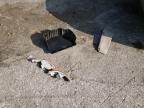 1997 Toyota Corolla Base for Sale in Rogersville, MO - Front End