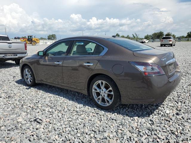  NISSAN MAXIMA 2014 Brązowy