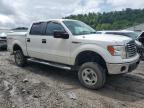 2012 Ford F150 Supercrew for Sale in Hurricane, WV - Hail