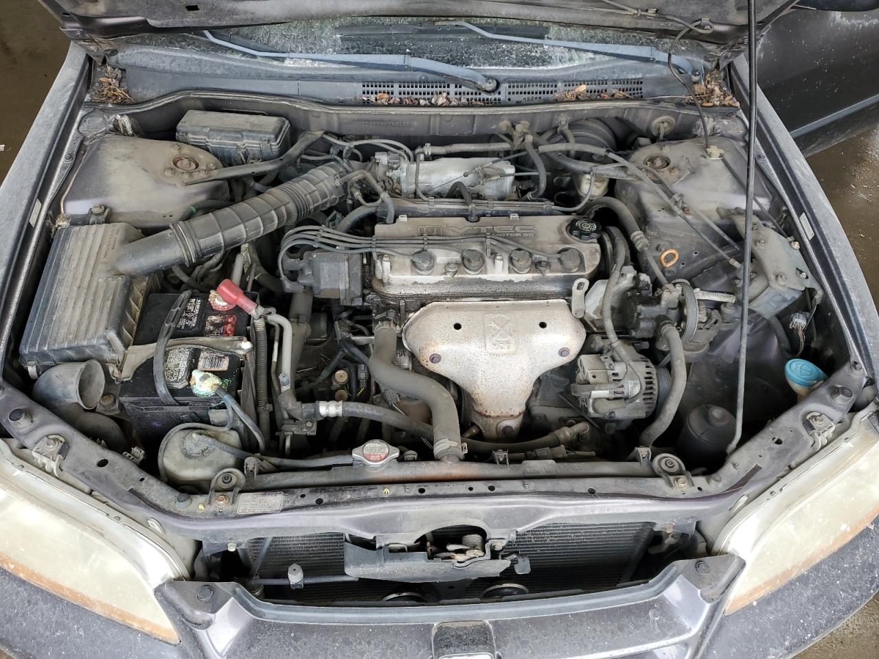 1999 Honda Accord Lx VIN: 1HGCG564XXA013618 Lot: 62064265
