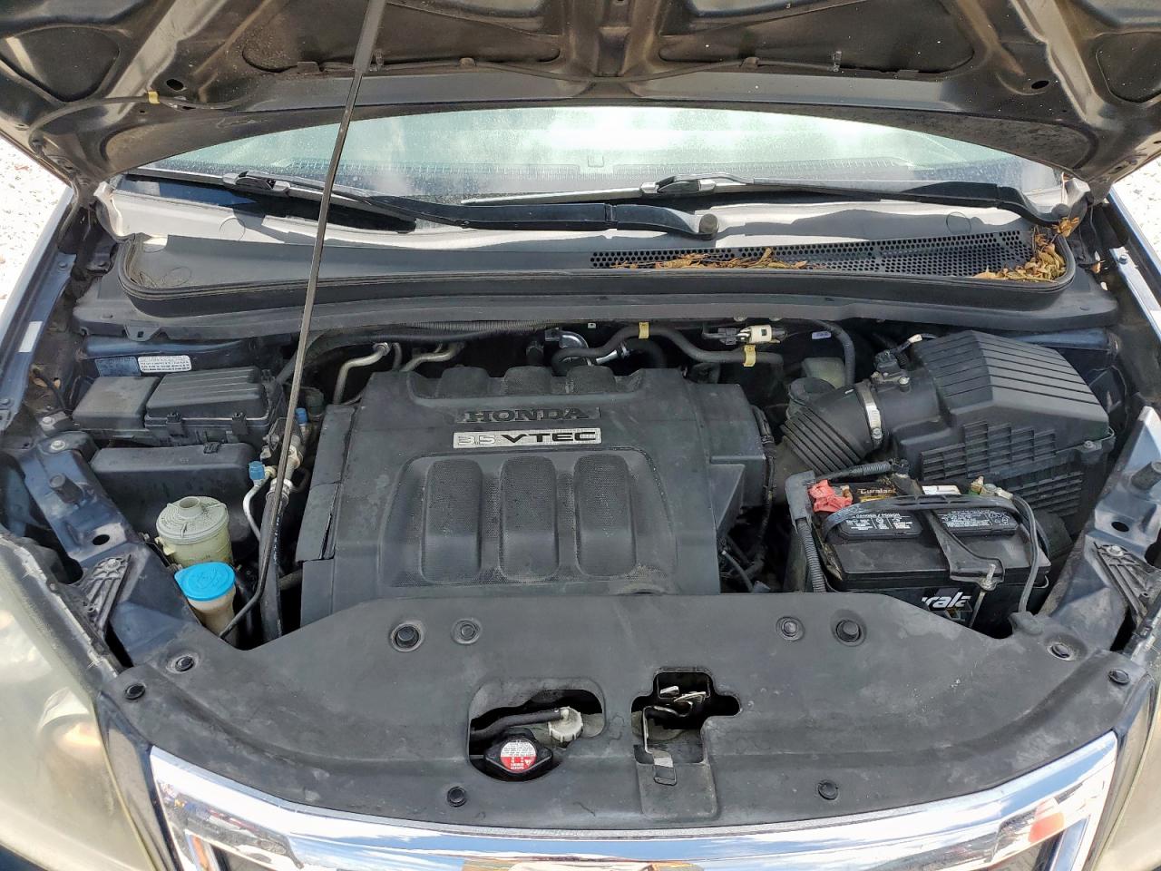 2009 Honda Odyssey Lx VIN: 5FNRL38249B060089 Lot: 62527405