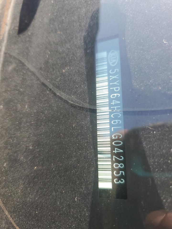 2020 Kia Telluride S VIN: 5XYP64HC6LG042853 Lot: 61761305